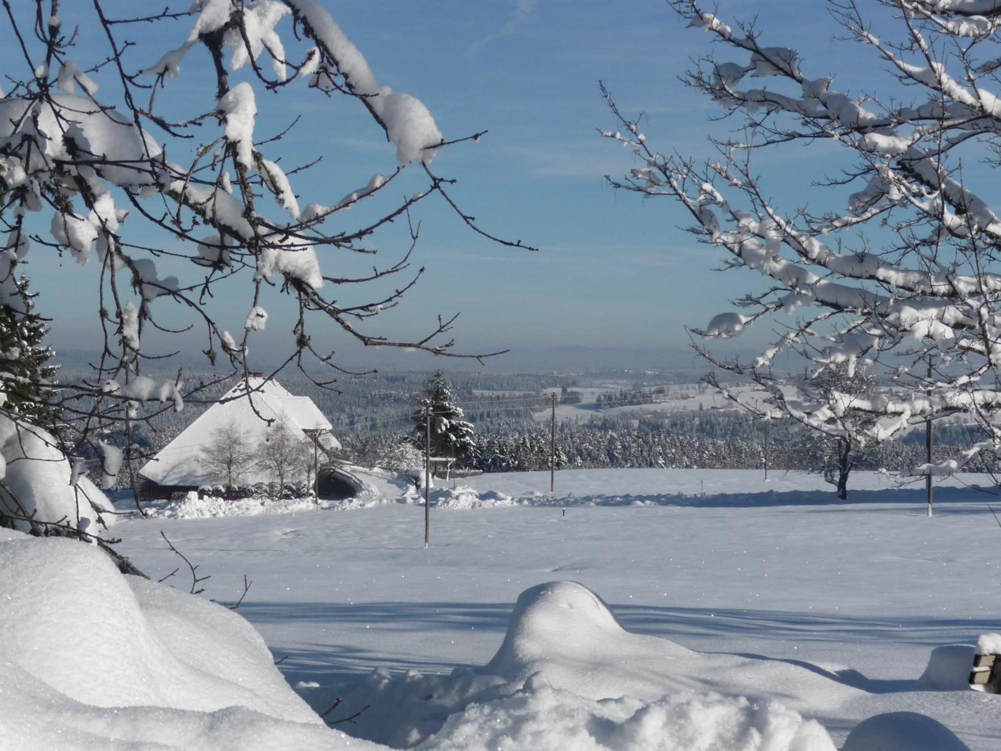 Hoehenpension Glashuette Bed&Breakfast Fruehstueckspension Hotel Garni Bonndorf im Schwarzwald Ngoại thất bức ảnh