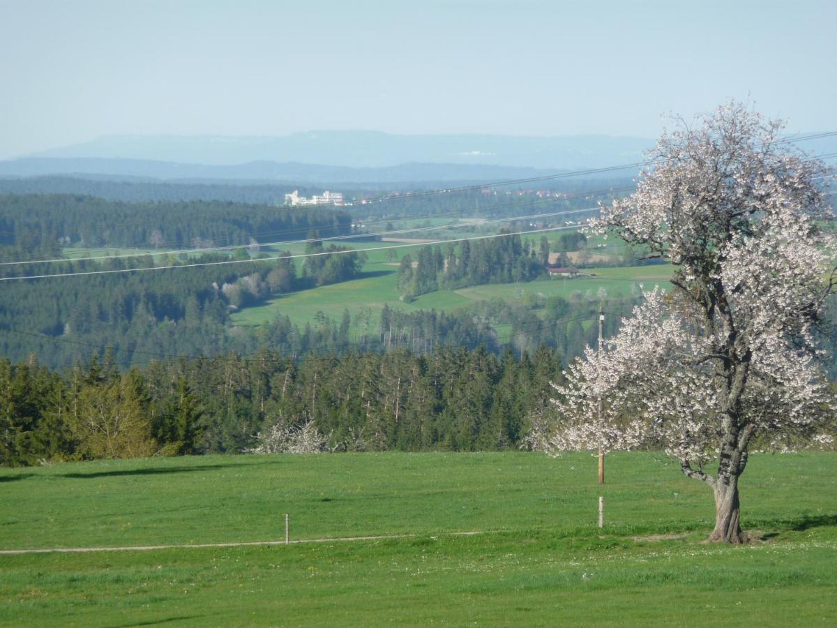 Hoehenpension Glashuette Bed&Breakfast Fruehstueckspension Hotel Garni Bonndorf im Schwarzwald Ngoại thất bức ảnh